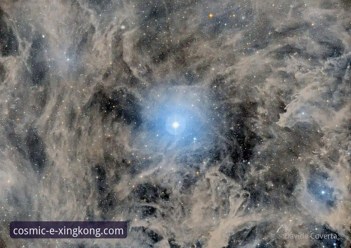 星空入口平台：星空体育赛事分析的深度剖析与全面解析