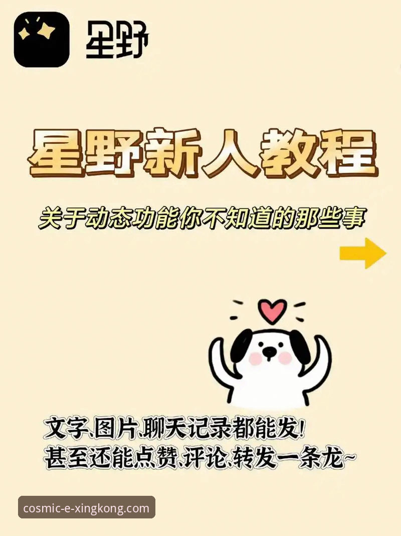 星空入口平台深度揭秘：从下载到精通，实战派的高效操作指南